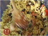 Pasta Diente
